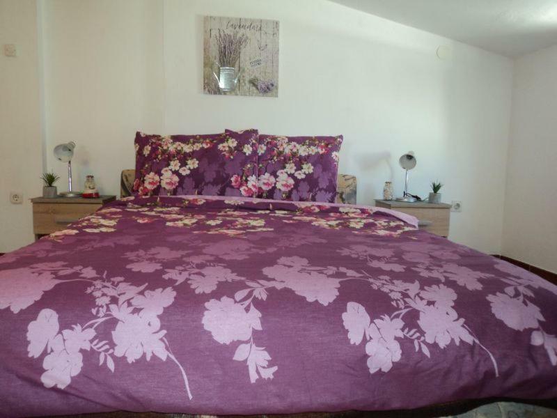 Studio Apartments Ana Ρόβινι Εξωτερικό φωτογραφία